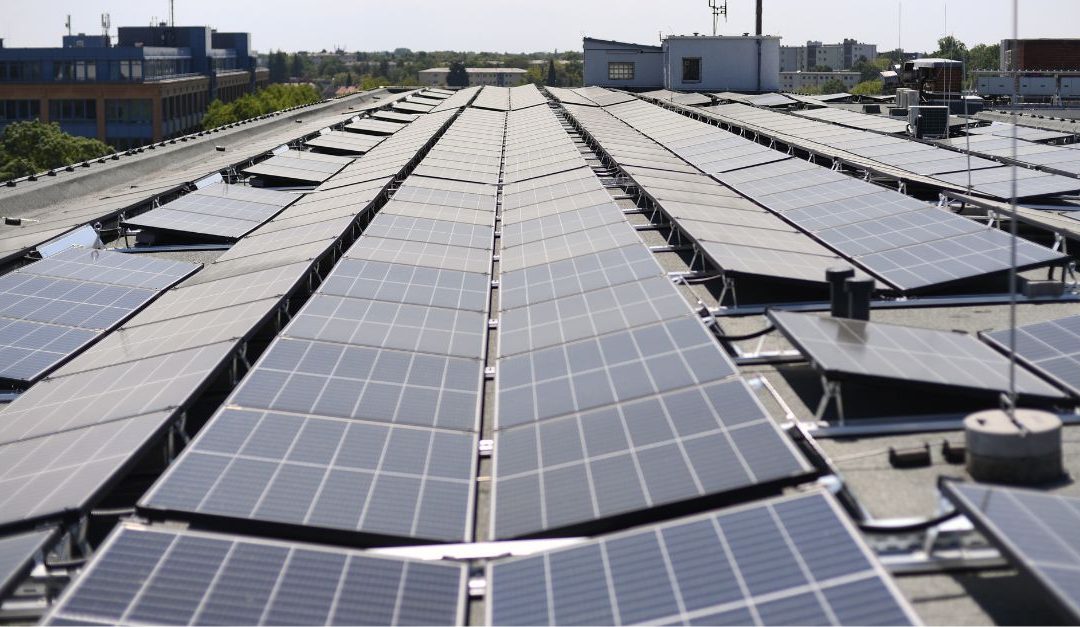 Certificato ESG: Uno Strumento Chiave per la Sostenibilità Aziendale