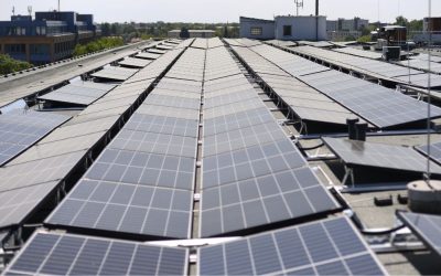 Certificato ESG: Uno Strumento Chiave per la Sostenibilità Aziendale